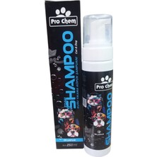Prochem Kedi-Köpek Şampuanı
