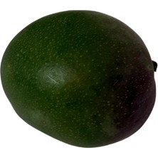 Avogarden Mango (Ithal) 1 kg