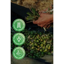 Erken Hasat Natürel Sızma Zeytinyağı 500 ml | Soğuk Sıkım, Izmir Urla, Yeni Hasat, Düşük Asidite