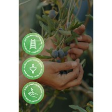 Olgun Hasat Natürel Sızma Zeytinyağı 750 ml | Soğuk Sıkım, Izmir Urla, Yeni Hasat, Düşük Asidite