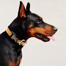 Zeynep Birinci Hakiki Süet Deri Pamuk Kolon Köpek Tasması