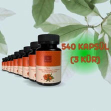 9 Adet Kır Iğdesi Omega 7 500MG 60 Kapsül