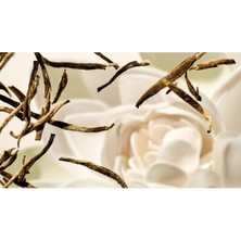 Rituals The Ritual Of Karma Saç ve Vücut Spreyi 50 ml