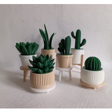 6'lı Yapay Kaktüs Set (18 Parça) - Yapay Çiçek - Yapay Bitki