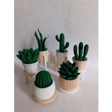 6'lı Yapay Kaktüs Set (18 Parça) - Yapay Çiçek - Yapay Bitki