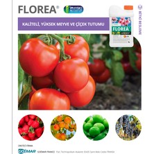 Upl Florea