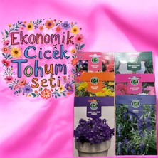 Hematorf Çiçek Tohumu Ekonomik Set - 6 Paket