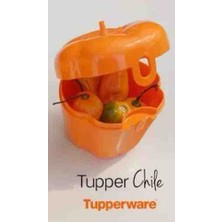 Tupperware Biber Saklama Kutusu