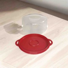 Tupperware Mini Pasta Saklama Kutusu 
Ortalama olarak 15cmdir. Mini pastalar için saklama kutusudur. Büyük pasta saklama kutusu değildir.
