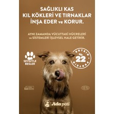 Ada Pati Kuzu Etli Yetişkin Köpek Maması 350gr