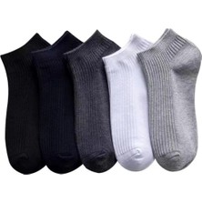Sockingen 8 Çift Pamuklu Derbili Patik Çorap - 4 Farklı Renk - Gündelik Giyim