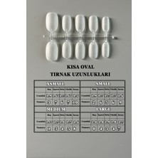 Easy Beauty 100 Adet Jel Tips LARGE Oval Şekil Kısa Takma Tırnak Seti Özel Kutuda ve Yapıştırıcı Hediyeli