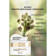 Yves Rocher Yaşlanma Karşıtı Bitkisel Kök Hücre Bakımı Anti-age Global - Hyaluronik Asit -kuru Cilt Gündüz Kremi