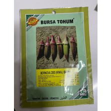 Bursa Tohum Bornova 2003 Kınalı Bamya Tohumu