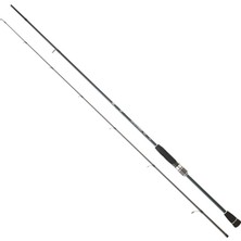 Daiwa Spitfire Squid 244 cm 5-21 gr Spin Kamış