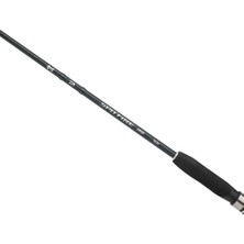 Daiwa Spitfire Squid 244 cm 5-21 gr Spin Kamış
