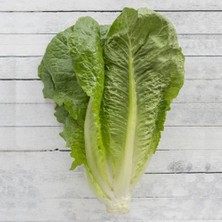 BK Commerce Sunagri Yedikule Marul Tohumu - Gevrek Yağlı Yapraklı Lezzetli ve Göbek Yapılı