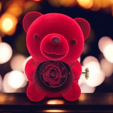 Trend Robo Sevimli Ayıcık Kırmızı Kadife Güllü Takı Kutusu - 925 Ayar Gümüş Rose Renk Sonsuzluk Sarılan Kolye