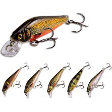 Nomura Ofujı 5cm 5g Suni Yem RENK:580