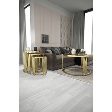Home Plus Mobilya Piyano Set Orta Sehpa Takımı Gold Bronz