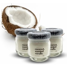 Coconut Products Hindistan Cevizi Kokulu Soya Mum 3 Adet 40 gr - Coconut Scented Soy Wax Candle