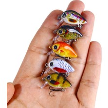 Alien Outdoor Sports 5 Adet Mini Biyonik Sert Yem Tuzlu Su Tatlı Su Balıkçılık Minnow Crankbaits Wobbler Yapay LURES-008-2 (Yurt Dışından)