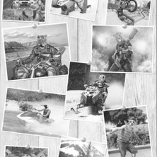 Free Style Fransız Duvar Kağıdı L390-09 (5m2)