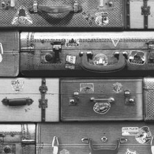 3 Dynamıc Fransız Duvar Kağıdı J704-09 (5m2)