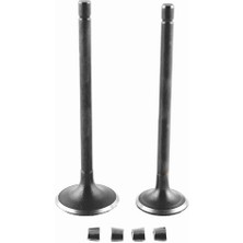 Msr Dq 004 Kuba Cg 250 Sübap Takımı Dq