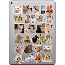 Komik Kedi Meme Cat Sticker Seti, Çıkartma, Ajanda Bujo Scrapbook Kolaj Etiket Bullet Journal