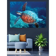 Caretta Caretta Dekoratif Kanvas - Mdf Ahşap Tablo