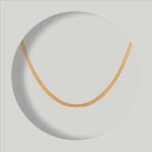 FourSolos Çelik Kadın Kolye, Italyan Zincir Model, Gold Renk, NO:173