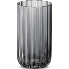 Jumbo Foggy Grey 6'lı Meşrubat Bardağı