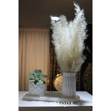 Dekoratif Modern Pampas Vazo Seti