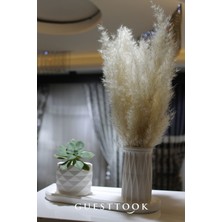 Dekoratif Modern Pampas Vazo Seti
