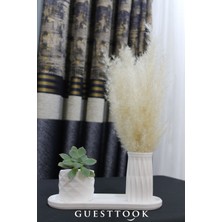 Dekoratif Modern Pampas Vazo Seti