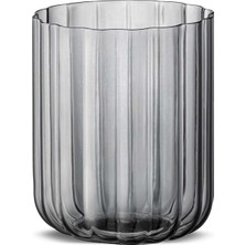 Jumbo Foggy Grey 6'lı Su Bardağı