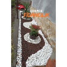 Çermik Fidancılık Beyaz Dolomit Taş 20 kg 4-6 cm Çakıl Taşı Bahçe Peysaj Süs Taşı