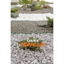 Çermik Fidancılık Beyaz Dolomit Taş 20 kg 4-6 cm Çakıl Taşı Bahçe Peysaj Süs Taşı