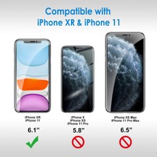 Evax 3'lü Paket iPhone 11 Uyumlu Temperli Hd+ Cam Ekran Koruyucu (3'lü Paket)