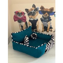 Mady Aksesuar Kedi Köpek Yatağı Sünger Kılıflı Fermuarlı 50x50x17 cm