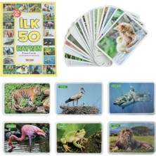 Ilk 50 Hayvan Kartları Eğitici Öğretici Oyuncak