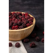 Seka Farm Dondurularak Kurutulmuş Kırmızı Meyveler 3'lü Paket , Freeze Dried Kırmızı Meyveler Paketi