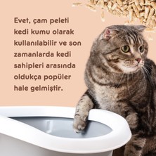 Çam Pati (% 100 Çam Peleti Kedi Kumu) Topaklaşmaz - Kokuyu Hapseder - 6 mm / 50 Lt