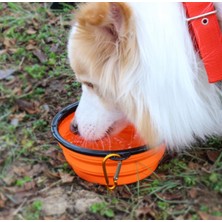 Ozcmax Portatif Mama Kabı Katlanabilir Evcil Hayvan Su Kabı