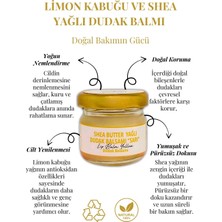 Dudak Bakım Kremi - Lip Balm (Limon Kabuğu & Shea Butter Yağlı) 29 ml.