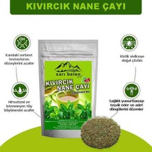 Kıvırcık Nane Çayı Spearmint Tea 45 G 30 Süzen Poşet