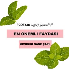 Kıvırcık Nane Çayı Spearmint Tea 45 G 30 Süzen Poşet