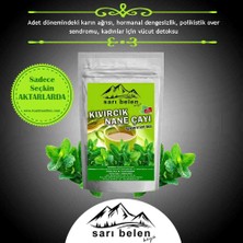Kıvırcık Nane Çayı Spearmint Tea 45 G 30 Süzen Poşet