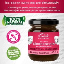 Sirkengebin Ibn-I Sina Probiyotik Form Macun 240 G